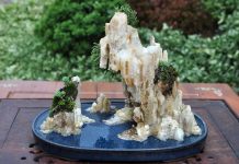 4 sai lầm cần tránh khi đặt hòn non bộ mini trong nhà