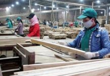 Xây dựng các cụm công nghiệp chế biến gỗ