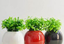 Bố trí hoa trong phòng khách sao cho hợp phong thủy?