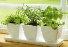 Bài trí phòng bếp hợp phong thủy cho người mệnh Hỏa