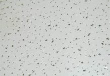 Trần thạch cao chịu ẩm