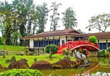 4 phong cách thiết kế sân vườn hot nhất hiện nay