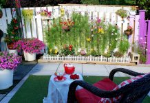 9 điều bạn cần lưu ý khi thiết kế sân vườn nhà ở