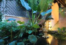 Những điều cần biết giúp thiết kế nhà vườn của bạn đẹp và ấn tượng