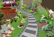 Thiết kế sân vườn nhà phố hiện đại, ấn tượng và độc đáo tại TP Hồ Chí Minh