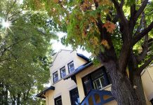 7 sai lầm bạn dễ mắc khi thiết kế sân vườn biệt thự