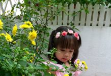 Những đặc điểm tạo nên vẻ đẹp của sân vườn